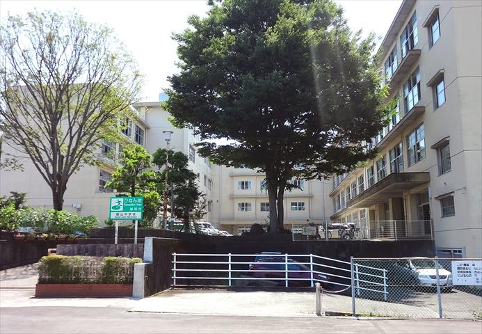 Junior high school. 3380m to Shizuoka Municipal prunus'kanzan 'junior high school