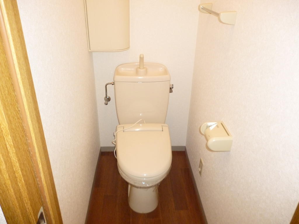 Toilet. It is similar to your room.