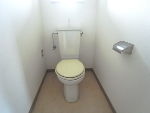 Toilet. The same image