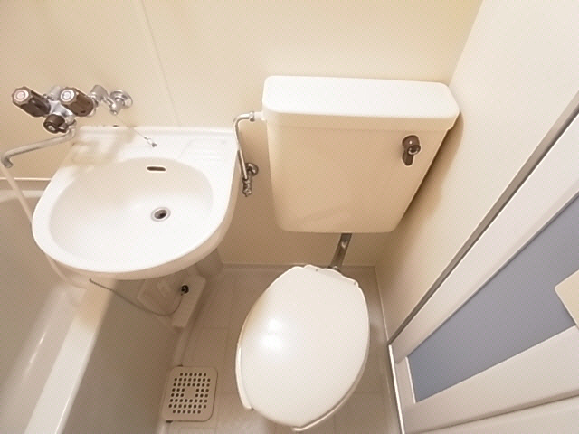 Toilet. The same image