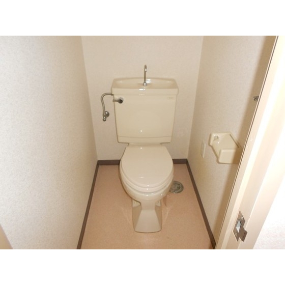 Other. Toilet