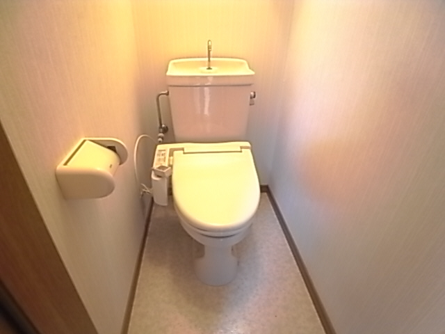 Toilet. The same image