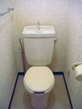 Toilet