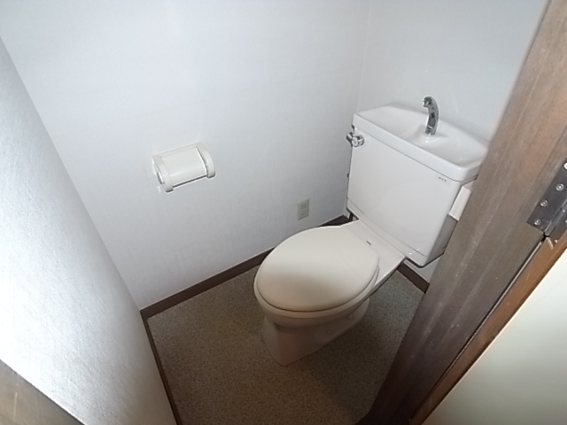 Toilet. The same image