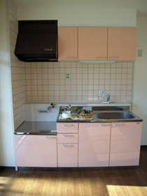 Kitchen. 2008 exchange