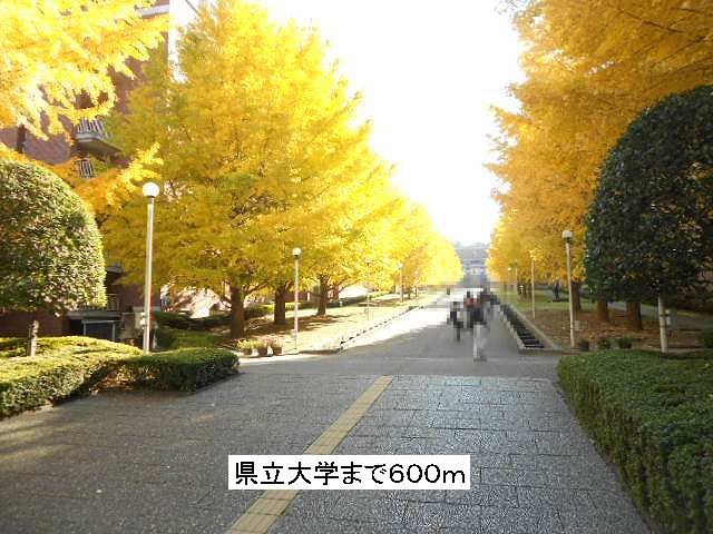 University ・ Junior college. Prefectural University (University ・ 600m up to junior college)