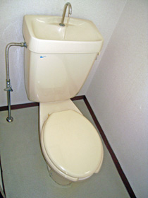 Toilet. Toilet