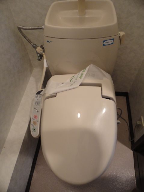 Toilet