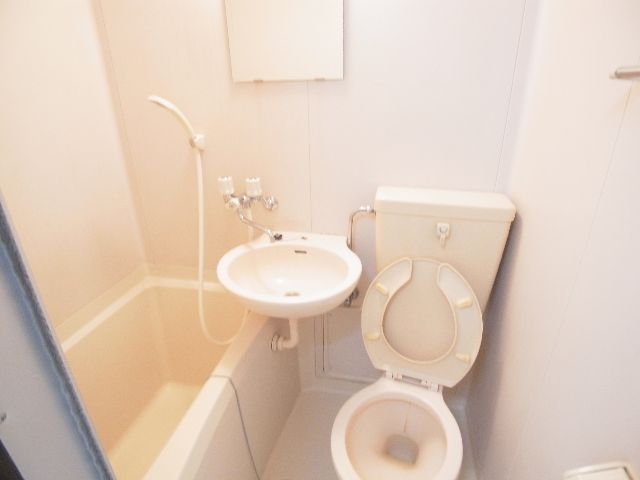 Toilet. The same image