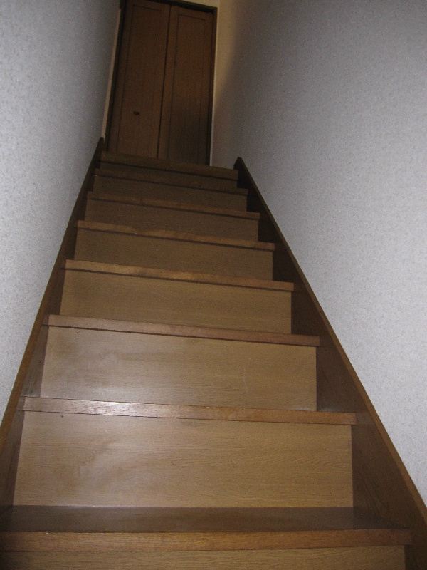 Other. Indoor stairs, There is housed in the top of the stairs.