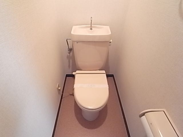 Toilet. The same image