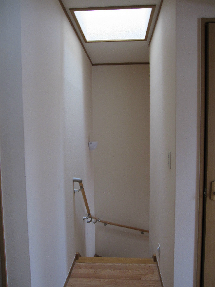 Other. Bright has an indoor staircase skylight.