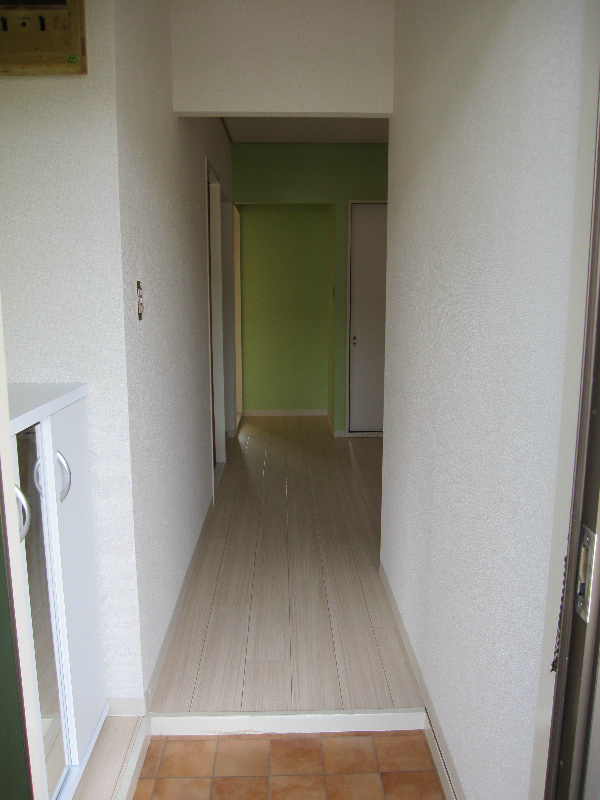 Other. Entrance before the corridor