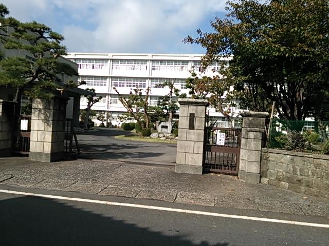 high school ・ College. 491m to Shizuoka Prefectural Shimizuhigashi High School