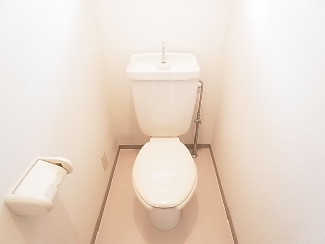 Toilet. The same image