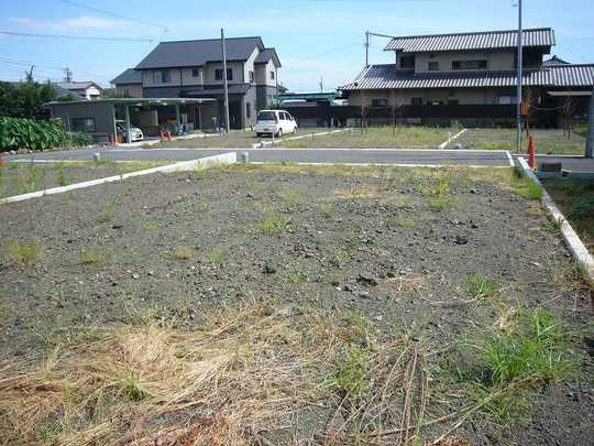 Local land photo. Local land photo (from the land back)