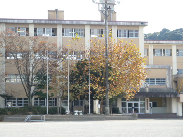 Primary school. 600m to Shizuoka City Shimizu Funakoshi elementary school (elementary school)