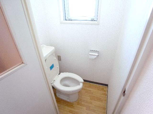 Toilet. The same image