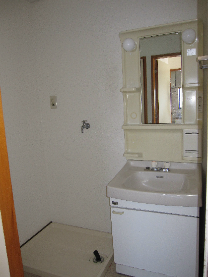 Washroom. Indoor Laundry Storage