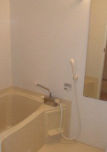 Bath. Bathrooms: thermostat shower