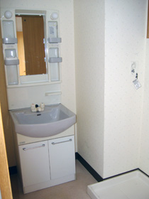 Washroom. Bathroom vanity