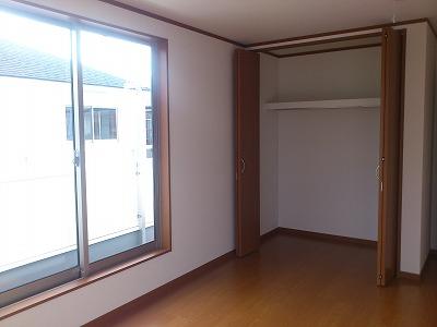 Non-living room. Closet of the same specification