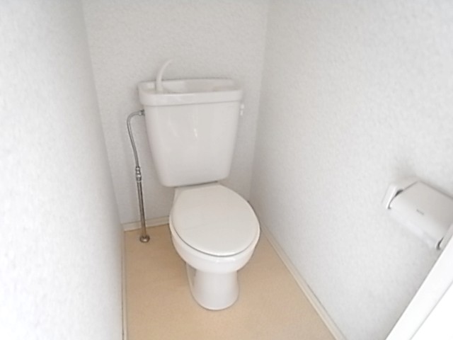 Toilet. The same image