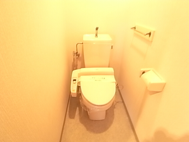 Toilet. The same image