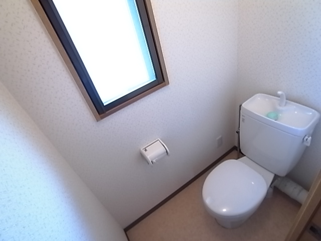 Toilet. The same image