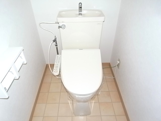 Toilet. The same image