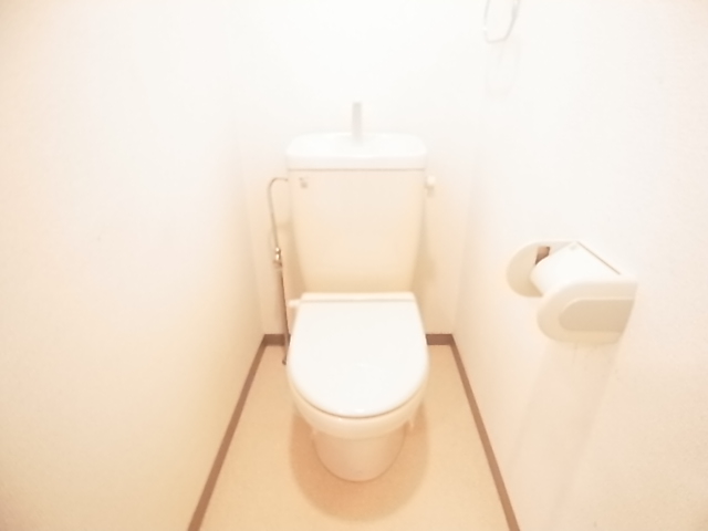 Toilet. The same image