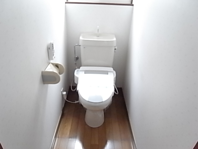 Toilet. The same image