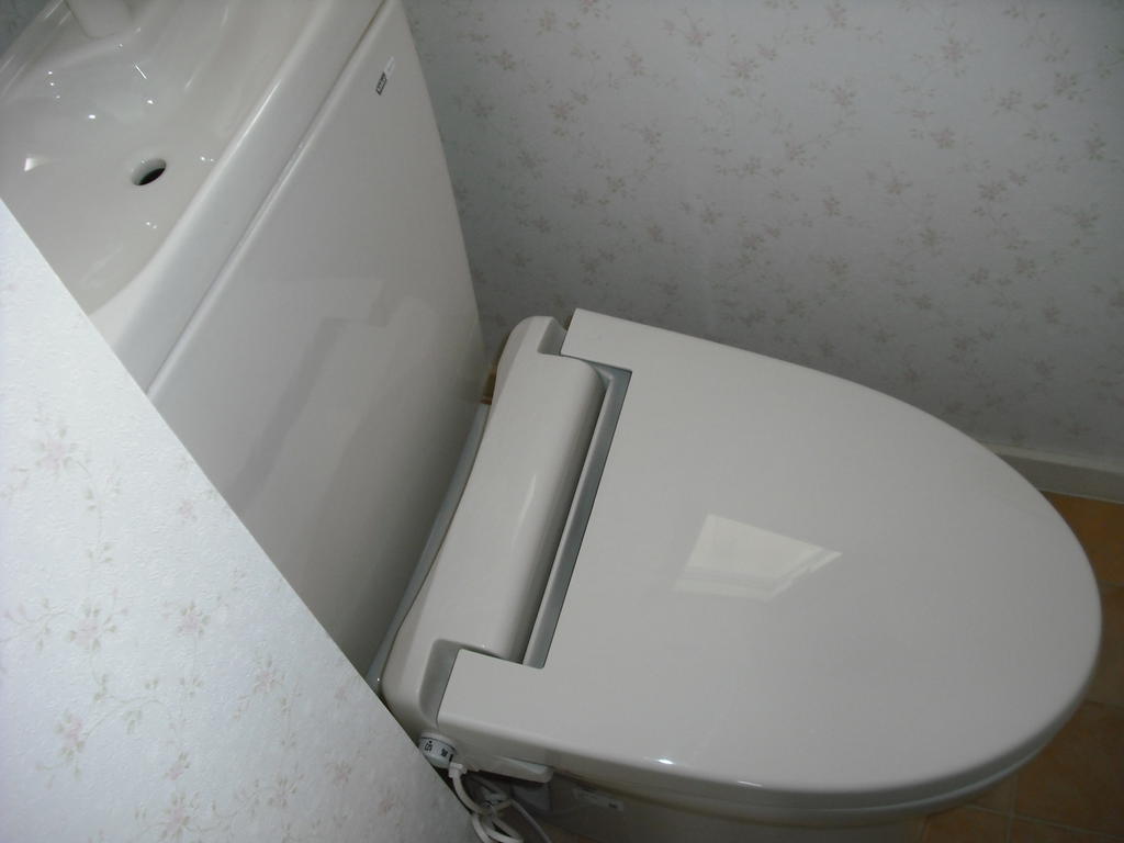 Toilet. Image is after renovation.