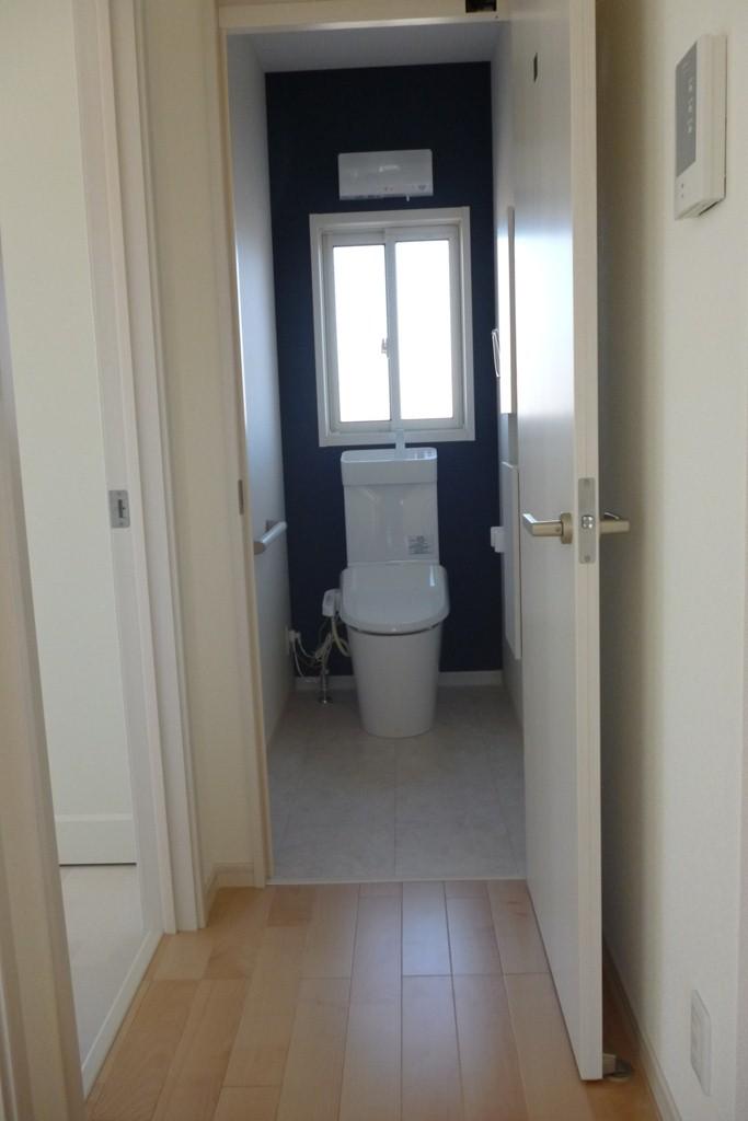 Toilet. Indoor (11 May 2012) shooting