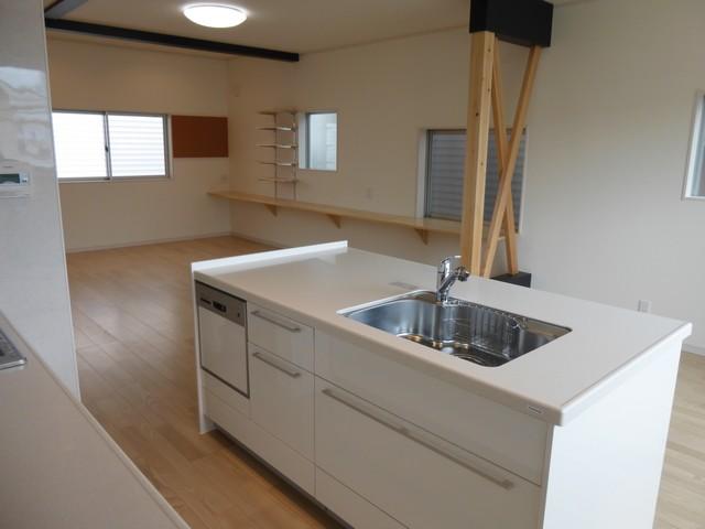 Kitchen. Indoor (10 May 2013) Shooting