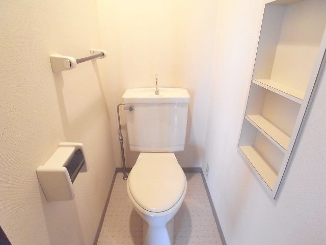 Toilet. The same image