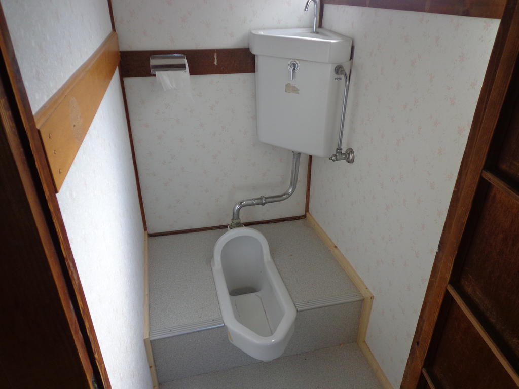 Toilet. Japanese-style toilet is in Western