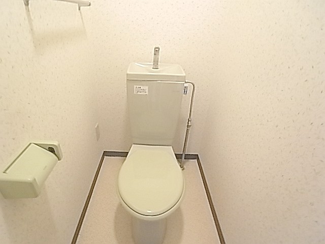 Toilet. The same image