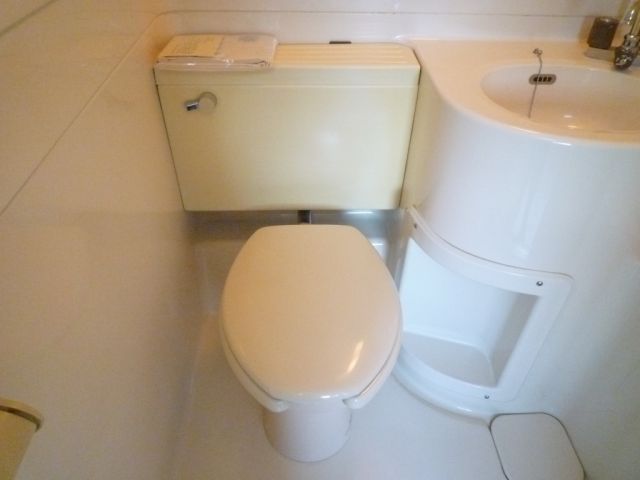 Toilet