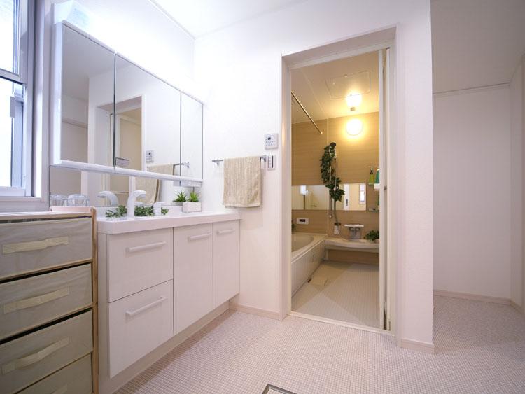 Wash basin, toilet. Washroom