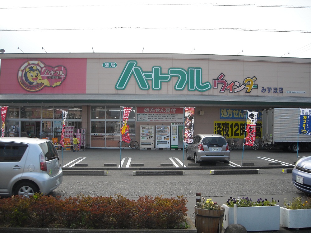 Dorakkusutoa. Wynn Dah land Mizuho shop 980m until (drugstore)