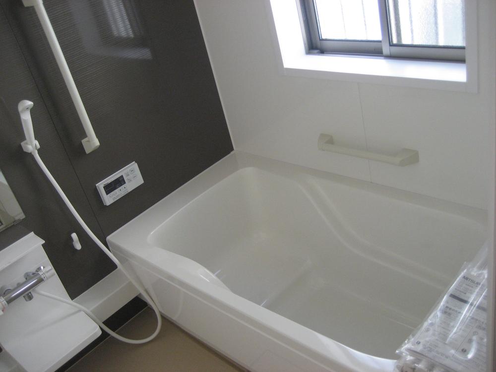 Bathroom. Local (February 2013) Shooting