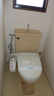 Toilet. Madoyu with cleaning toilet seat