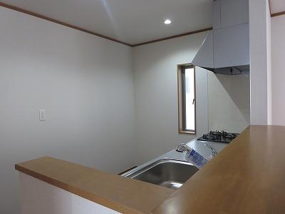 Kitchen. Kitchen of the same specification