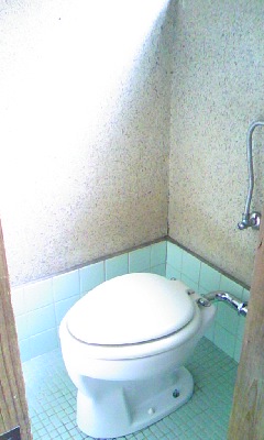 Toilet. Western-style toilet.