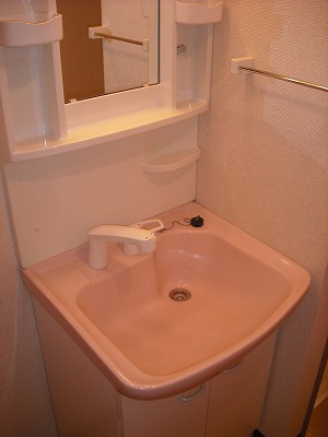 Washroom. With shampoo dresser