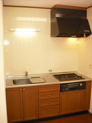 Kitchen. Kitchen with stove