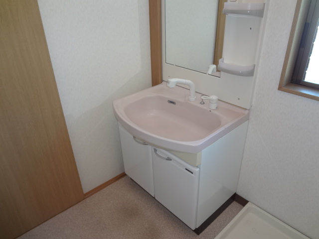 Washroom.  ☆ Convenient Shampoo dresser ☆