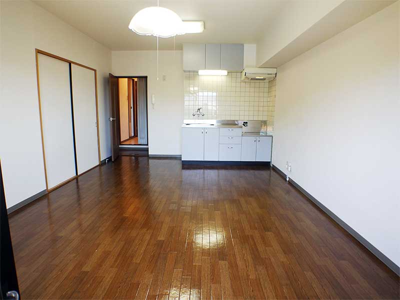 Living and room. LDK