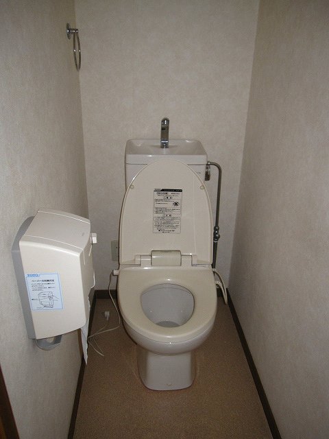 Other. Toilet